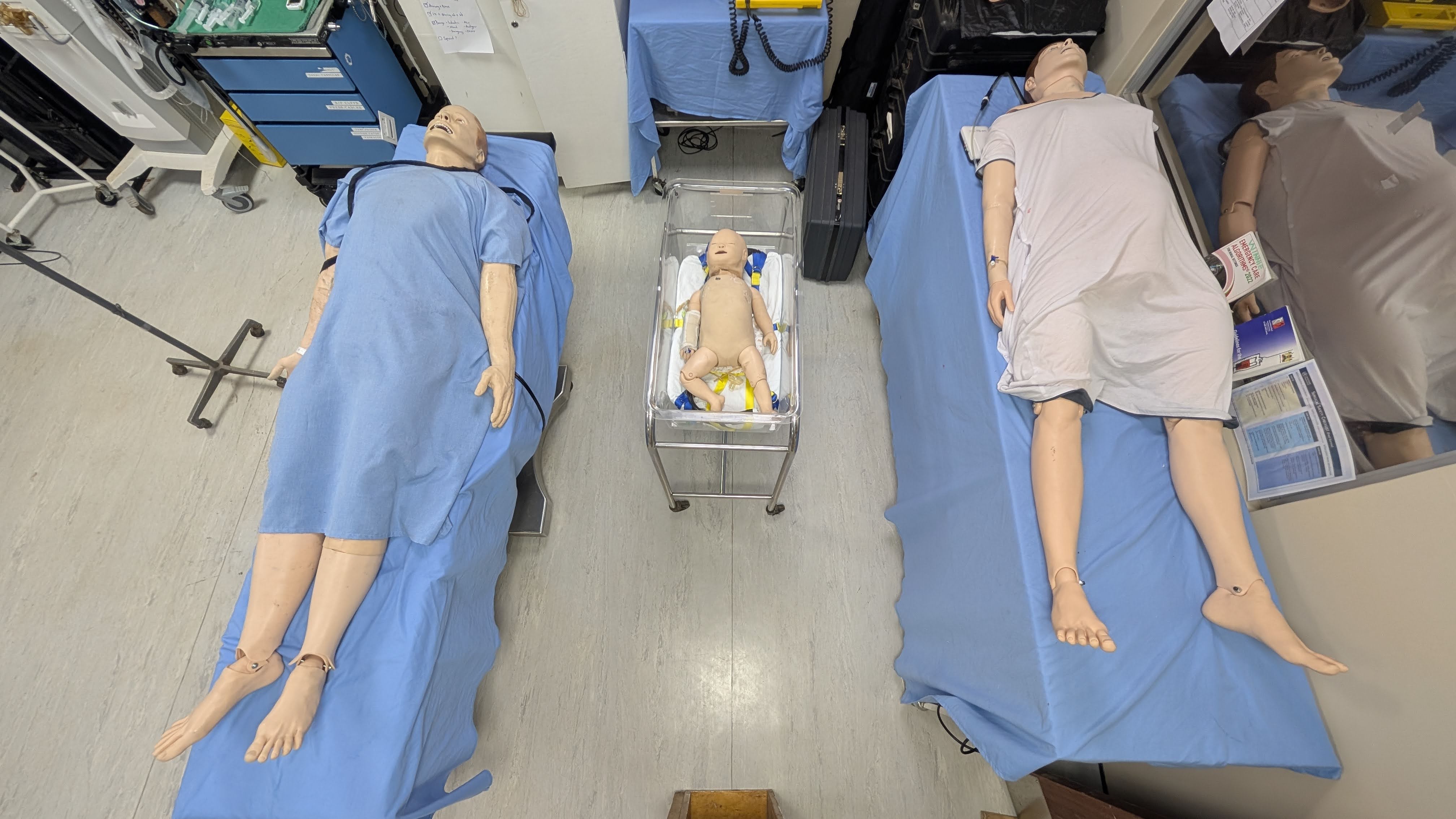 Simulation and Training Image